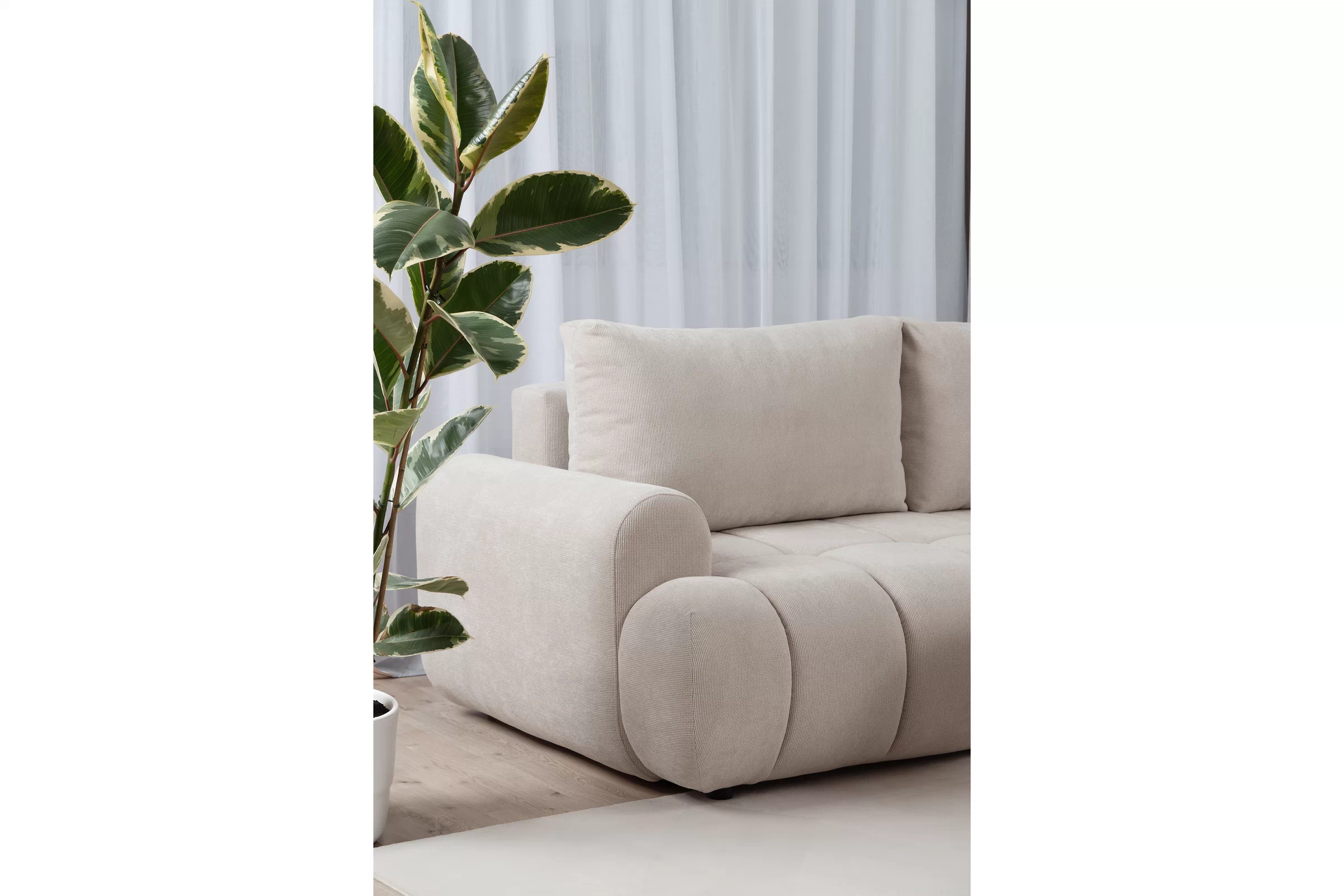 Client Image 1425